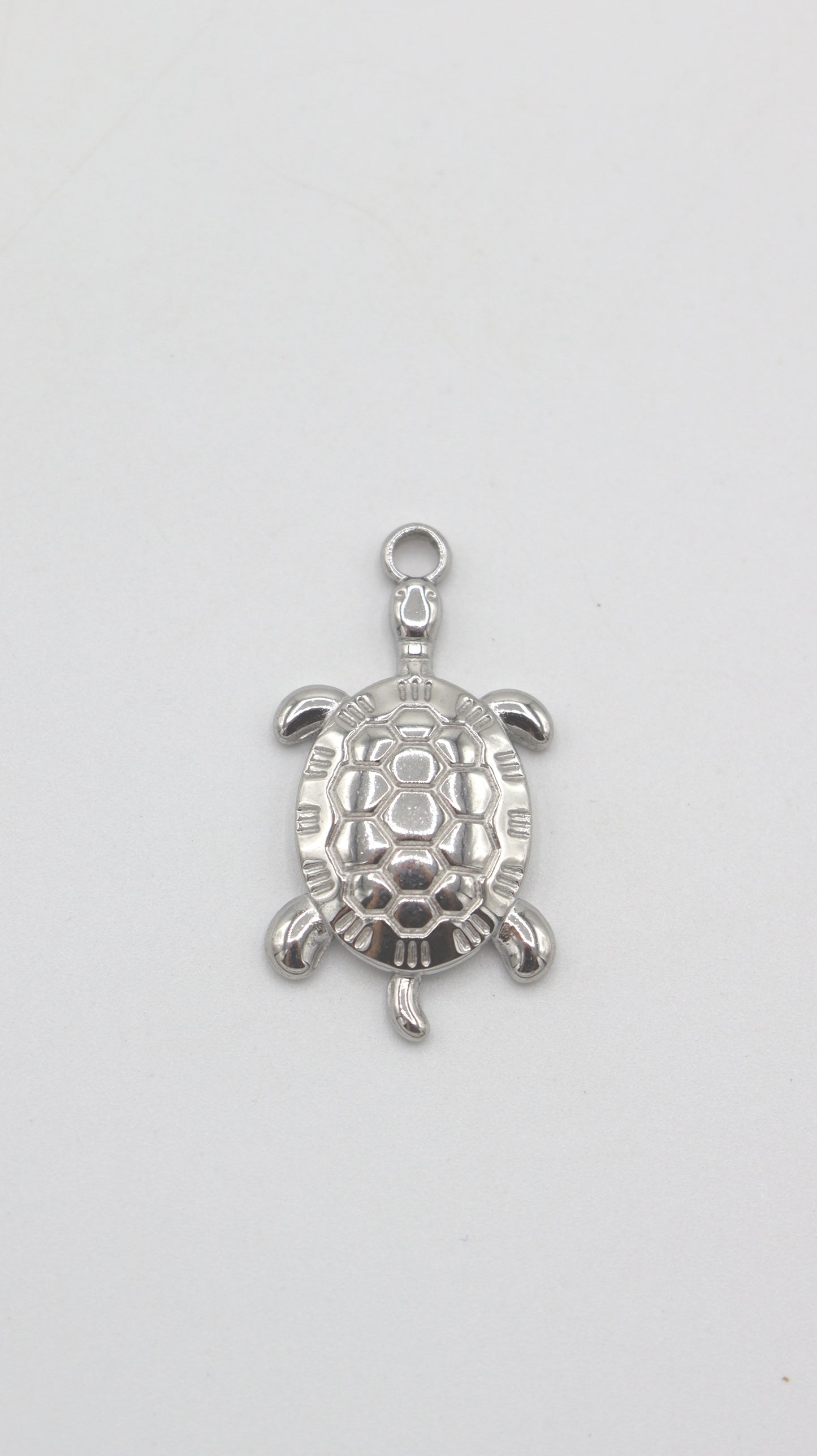 Charms Tortue