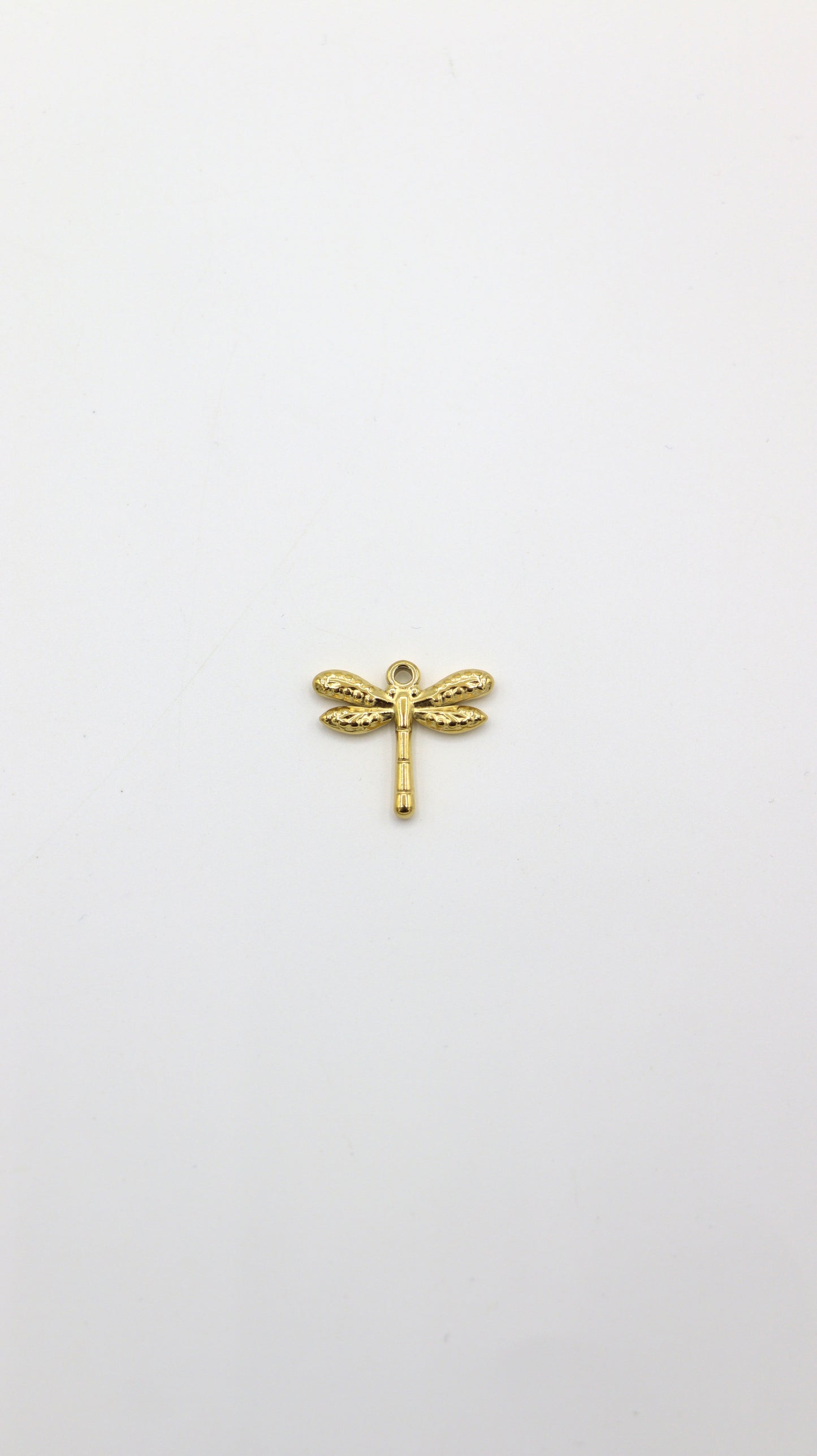 Charms libellule