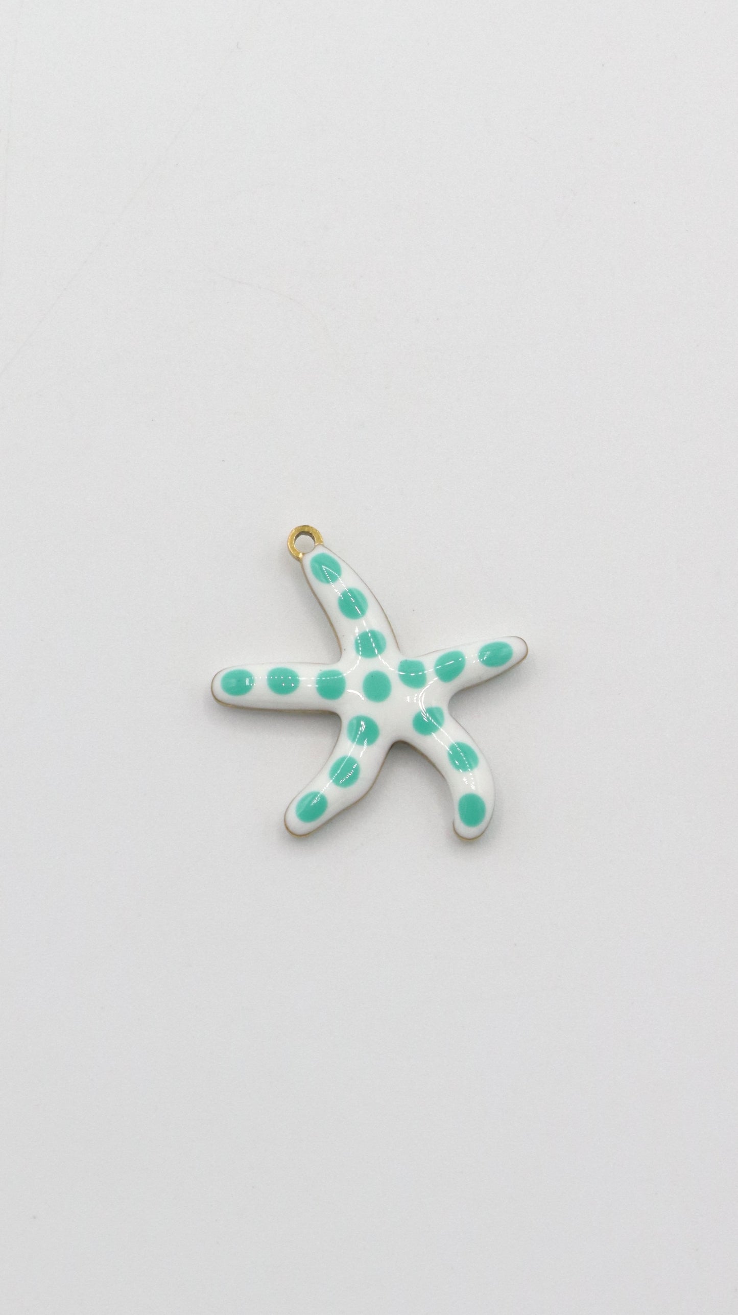 Charms Etoiles de mer et Poissons colorés