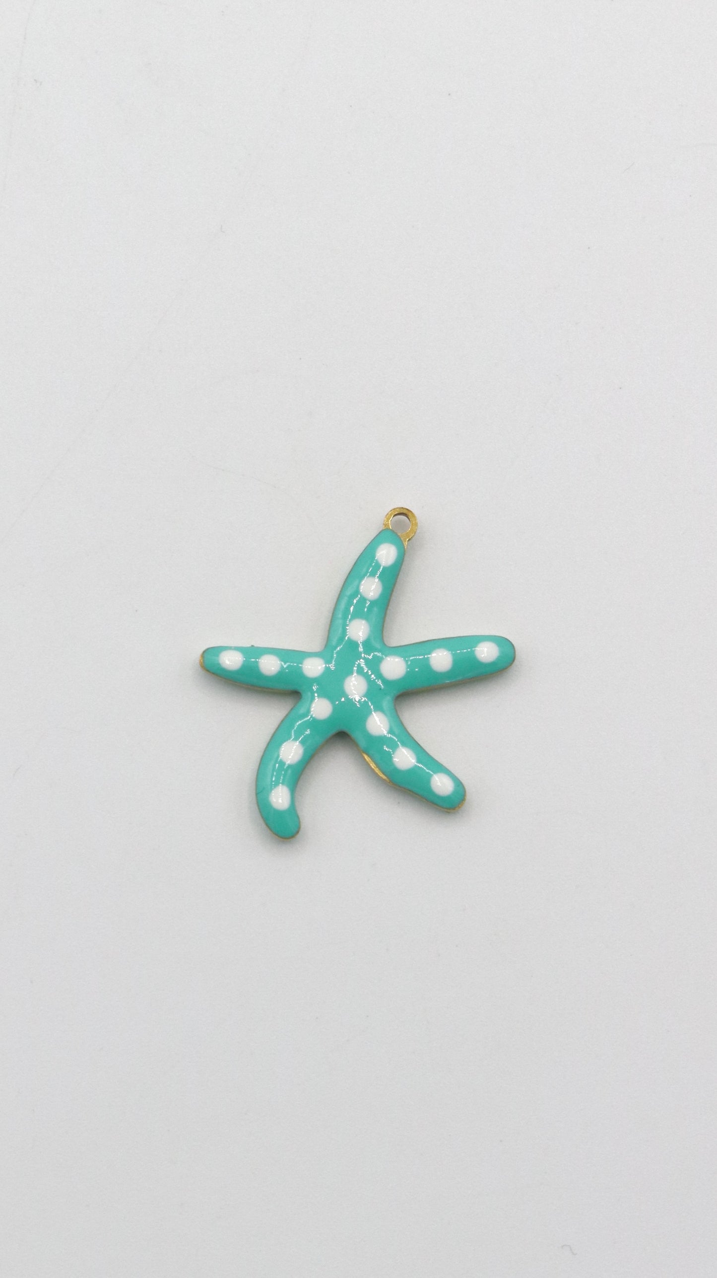 Charms Etoiles de mer et Poissons colorés
